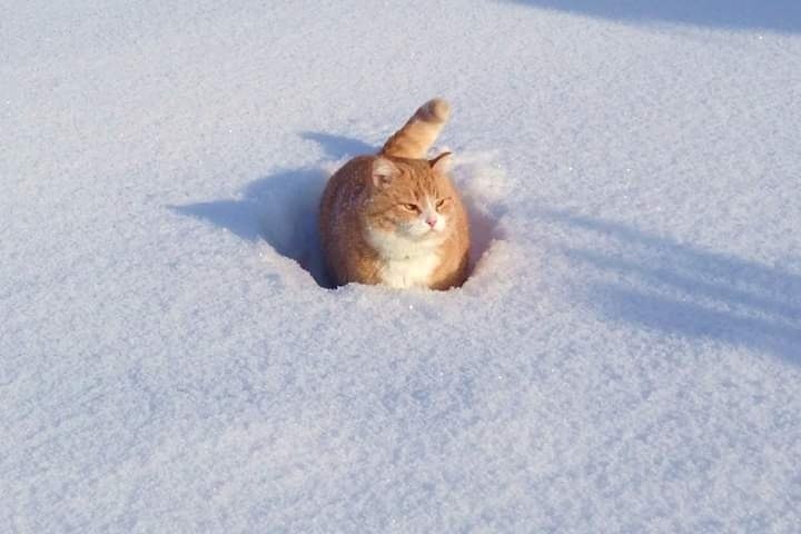        - 5