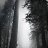 ���� ������, ������, 52 ���� - ��������� 8 ������ 2019