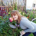  ,  -  22  2019    2019 .