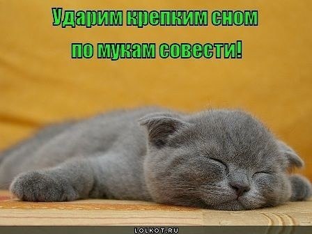   ,    . - 16  2019  21:53