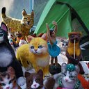 ���� �������, ���������, 49 ��� - ��������� 23 ���� 2019 � ������ ��������-2019�