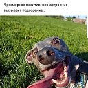 ���� ����, ������ - ��������� 21 ���� 2019 � ������ ���� ����������