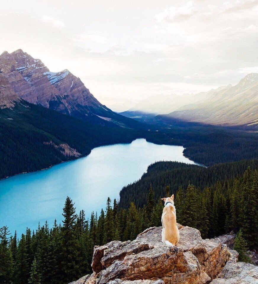 Canada
