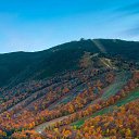 ���� ����, ������, 38 ��� - ��������� 3 ������� 2019