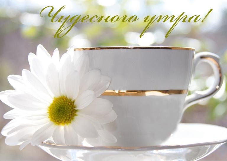   ,    . - 5  2019  22:51 - 3