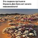 ���� ���, ����� - ��������� 6 ��� 2019 � ������ ������ ��������