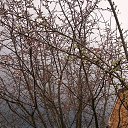 ���� ������, ������-��-����, 65 ��� - ��������� 4 ������ 2019 � ������ ���� ����������