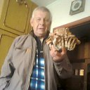  ,  , 34  -  23  2019    