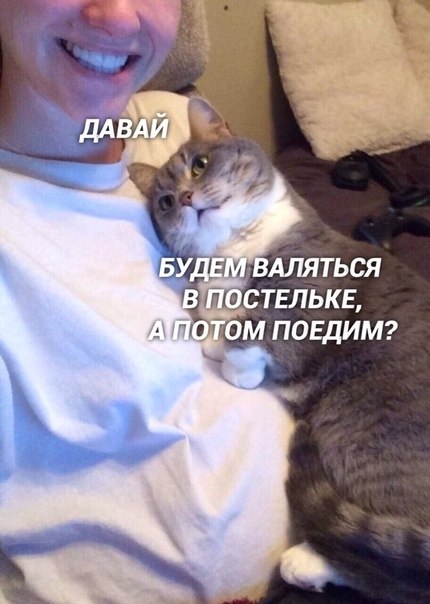     ... ? - 2
