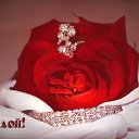 ���� �������, �����������, 50 ��� - ��������� 4 ������� 2019 � ������ �������