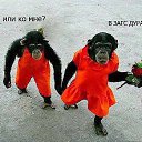 ���� �����, �����, 52 ���� - ��������� 9 ��� 2019 � ������ ���� ����������