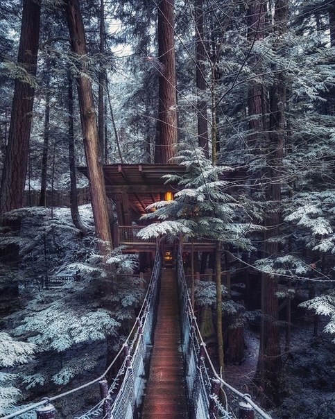 a e oec  aoe oe eco.. Capilano Suspnsion Bridg ark