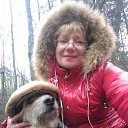  , -, 59  -  17  2019    