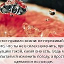 ���� �������� ���������, ����, 49 ��� - ��������� 26 ������� 2019 � ������ ���������� ������