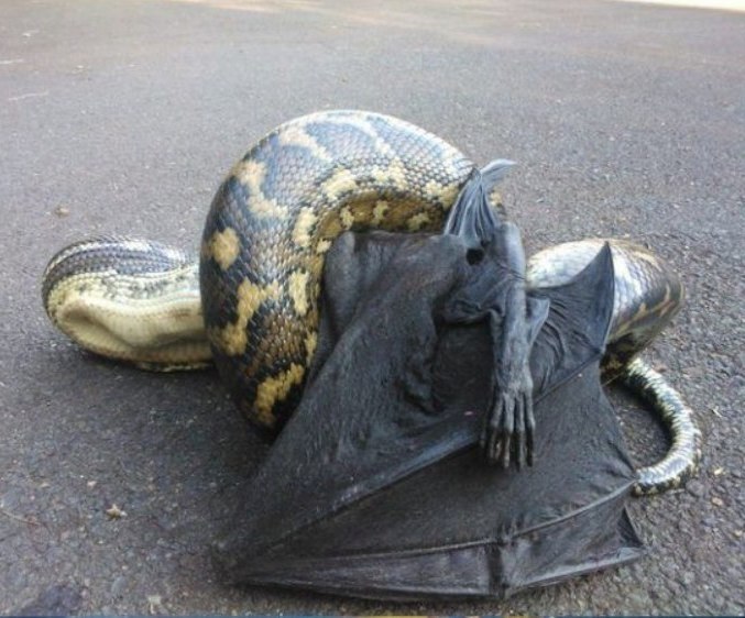 Aca  eco, e o e co oe. - 2