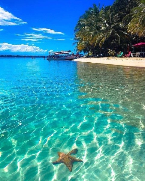 �����-����-����, ������