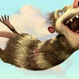 ����, ���������, 46 ���