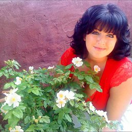 ���, ������, 43 ����