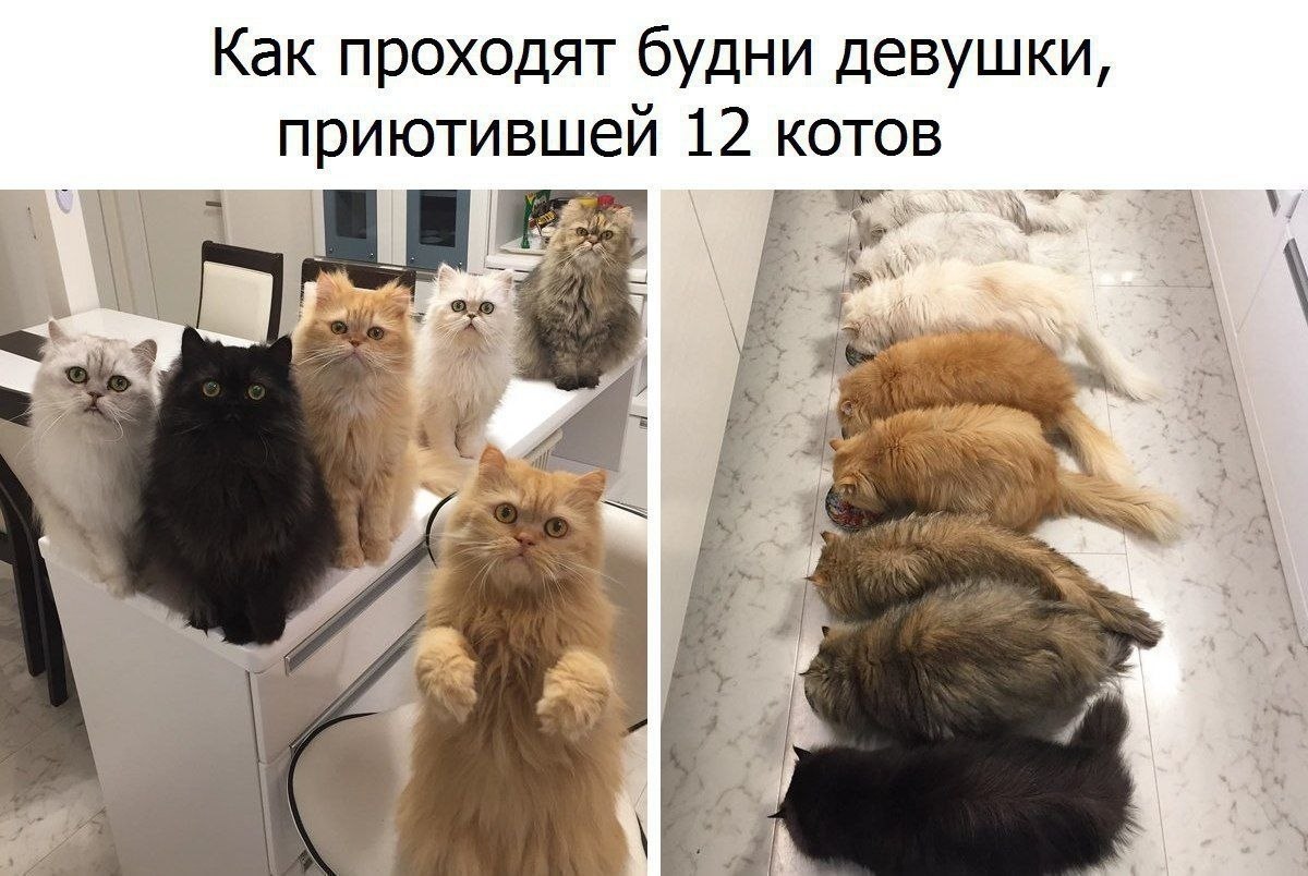   - 16  2019  18:15