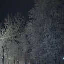 ���� �������, ������������, 49 ��� - ��������� 22 ������� 2019 � ������ ���� ����������