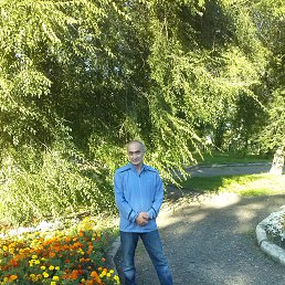 ���� �����, �������, 64 ���� - ��������� 29 ������ 2019