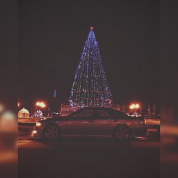 �����, �����������, 53 ����