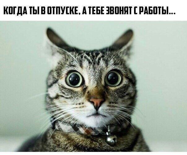    - 28  2019  18:33
