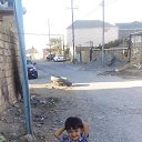 ���� V&uuml;sal, ����, 41 ��� - ��������� 22 ������ 2019