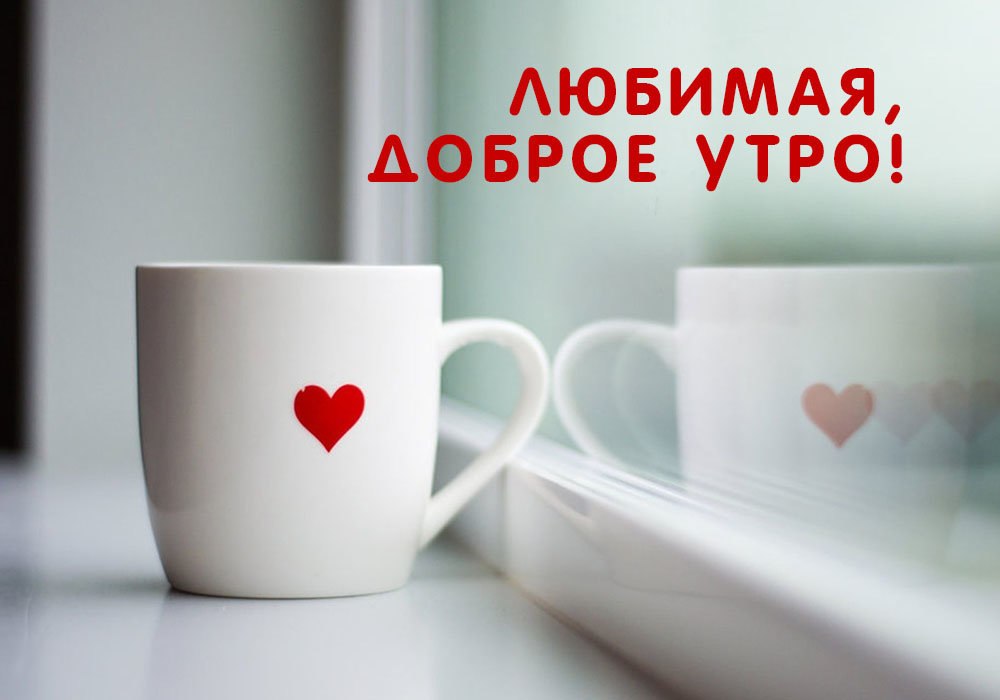   ,    . - 1  2019  10:13