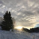 ���� �����, �����, 69 ��� - ��������� 1 ������ 2020 � ������ ���� ���� ������