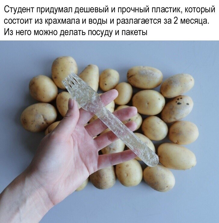 10   ,         ... - 3