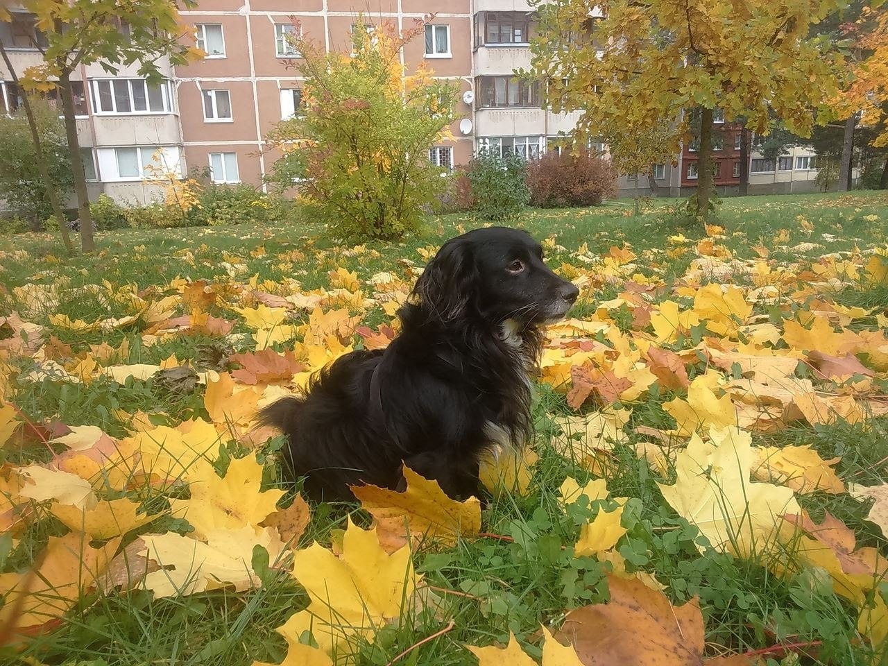 , 7 