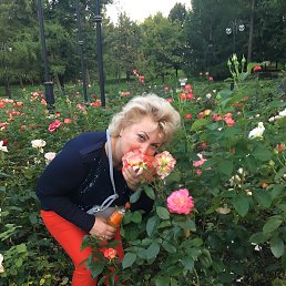 �����, ������, 65 ���