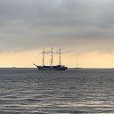  Serzh Van Der Maaremaan,  -  11  2019    