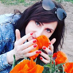 ���� �����, ������, 49 ��� - ��������� 13 ���� 2019