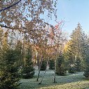  , , 50  -  4  2019   3.10.2019 