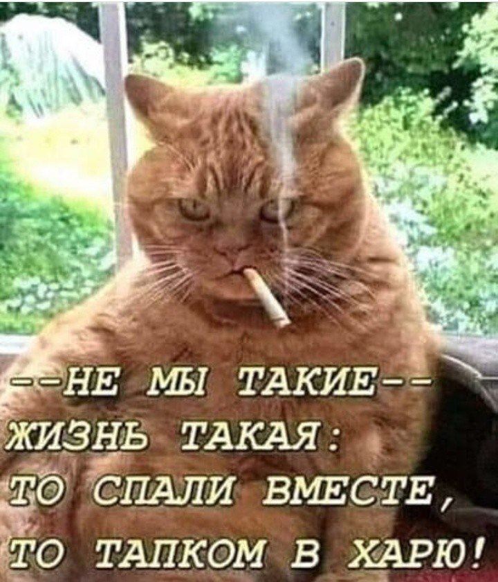 " ") - 15  2019  15:10