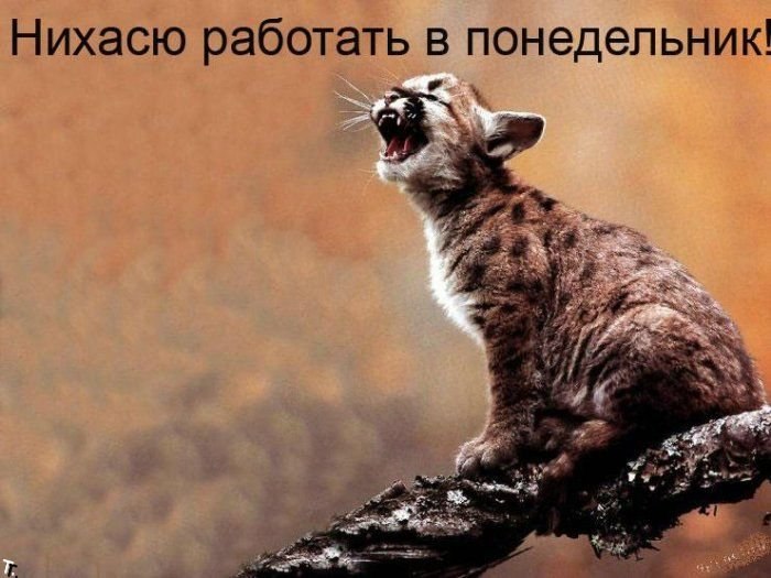 ***Victoria Viktorovna*** - 19  2019  08:24