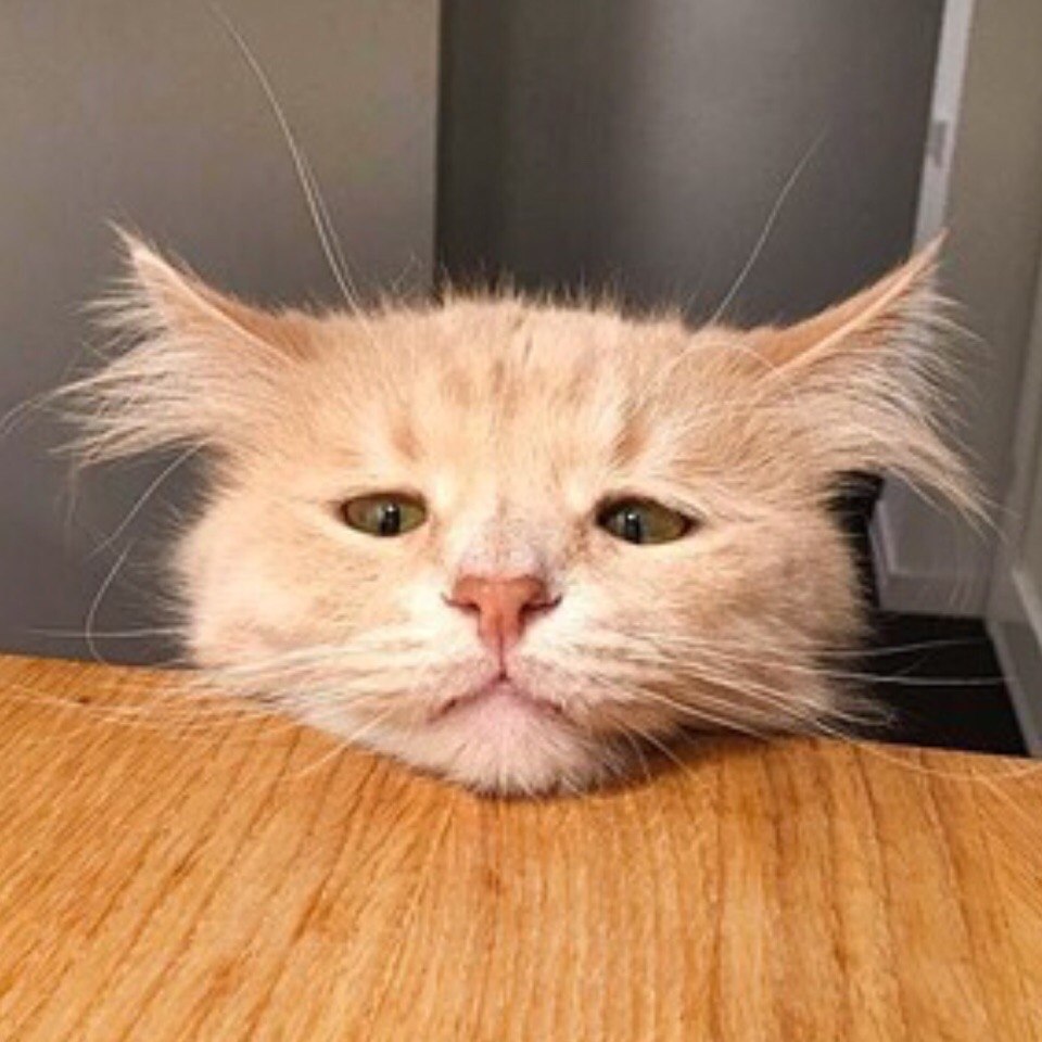 :   - 3
