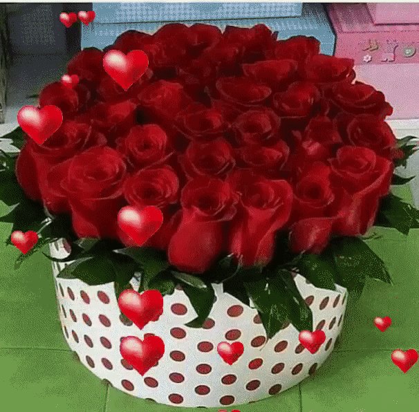 ������ - 6 ���� 2019 � 14:07