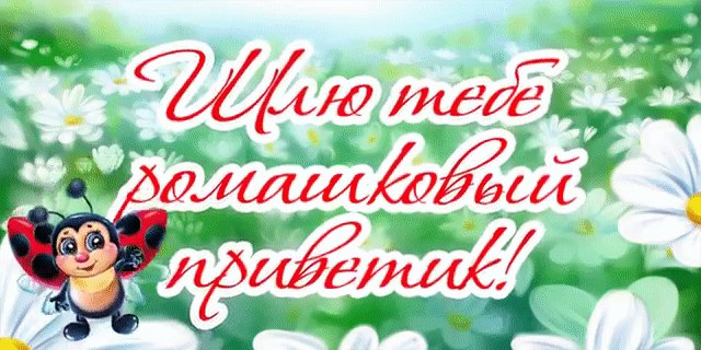   ,    . - 11  2019  17:39