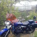 ���� �����, ���������, 64 ���� - ��������� 15 ��� 2019 � ������ ���� ����������