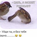 ���� ���������, ��������, 42 ���� - ��������� 9 ���� 2019 � ������ ���� ����������