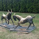 ���� ����, ������, 63 ���� - ��������� 7 �������� 2019 � ������ ������� 2019�