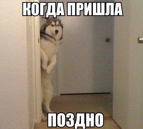    - 16  2019  18:17