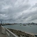  , , 53  -  22  2019    2019