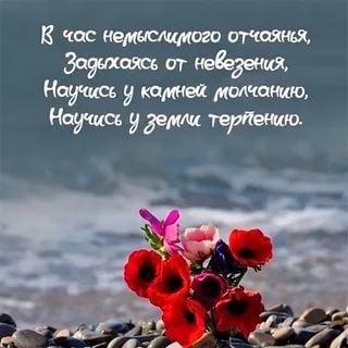          ...         ...
