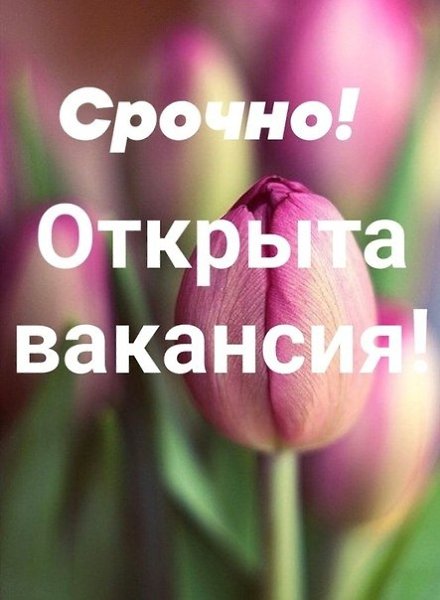 Требуются ДЕВУШКИ для подработки в интернете .(не КОСМЕТИКА).ОПЛАТА ТРУДА ЕЖЕДНЕВНАЯ сразу на вашу ...