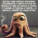 ���� �������, �����-���������, 60 ��� - ��������� 27 ��� 2019 � ������ ���������