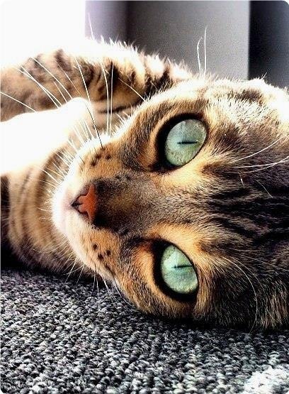  |  | - - 21  2019  00:56 - 6